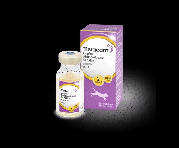 Meloxicam Bestellen Preis Generika