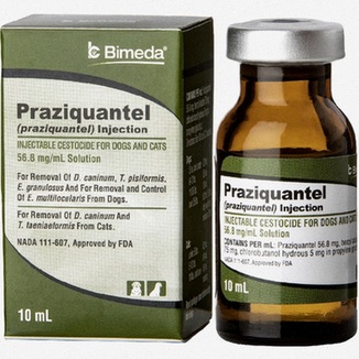 Praziquantel Bestellen günstig Apotheke